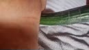 Anaaldrang, video, film 00:00:26, 11 reacties, 25 stemmen