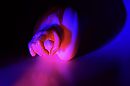 Andersom, foto 4000x2666, 0 reacties, 4 stemmen