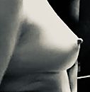 Art, foto 544x553, 13 reacties, 67 stemmen