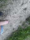 Avond wandeling, foto 3000x4000, 1 reacties, 3 stemmen