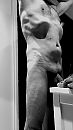 Avond...., foto 2181x3874, 2 reacties, 1 stemmen