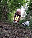 Avondwandeling maken, foto 1600x1851, 4 reacties, 7 stemmen
