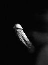 BW pik …, foto 2316x3088, 0 reacties, 0 stemmen
