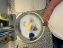 Na het koken nog afwassen, film 00:00:24, 1 reacties, 6 stemmen