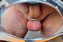 Ball ring koper, foto 3470x2319, 3 reacties, 3 stemmen