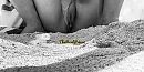 Beach flash..., foto 1920x966, 6 reacties, 24 stemmen