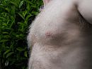 Bear, foto 1200x900, 4 reacties, 8 stemmen