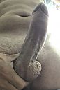 Ben weer geil, foto 733x1093, 17 reacties, 32 stemmen