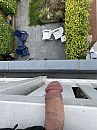 Best hoog, foto 3000x4000, 4 reacties, 9 stemmen