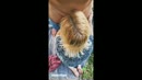 Blowjobprincess, film 00:00:00, 16 reacties, 116 stemmen