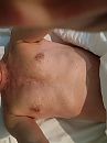 Body shot, foto 2556x3408, 1 reacties, 3 stemmen