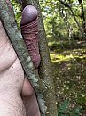 Boomklem, foto 3000x4000, 13 reacties, 30 stemmen