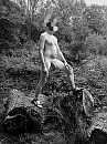 Boomstronken, foto 1521x2028, 1 reacties, 10 stemmen