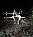 Bos, foto 410x453, 3 reacties, 9 stemmen