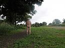Boterwal, foto 3264x2448, 1 reacties, 9 stemmen