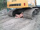 Bouwvakvakantie of niet, foto 1280x960, 20 reacties, 116 stemmen