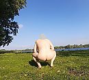 Buiten bloot, foto 1302x1175, 6 reacties, 12 stemmen