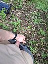Buiten in het donkere bos, foto 3000x4000, 2 reacties, 10 stemmen