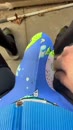Bulge, film 00:00:00, 4 reacties, 15 stemmen