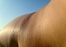 Haar huid 1, foto 2048x1454, 2 reacties, 15 stemmen