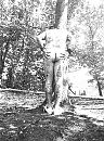 Buttnaked, foto 1072x1440, 0 reacties, 3 stemmen