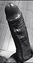 Bw, foto 740x1371, 4 reacties, 9 stemmen