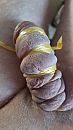 CBT2, foto 2250x4000, 0 reacties, 0 stemmen