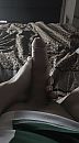 Can u, foto 1440x2596, 1 reacties, 1 stemmen