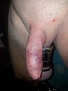 Cane, foto 2448x3264, 4 reacties, 3 stemmen