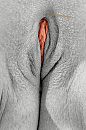 Clit Color, foto 784x1180, 7 reacties, 22 stemmen