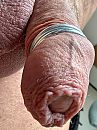 Close up geringde eikel, foto 1818x2424, 6 reacties, 12 stemmen