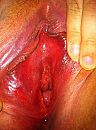 Close up, foto 478x640, 21 reacties, 73 stemmen
