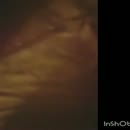 Cockolding, film 00:00:28, 9 reacties, 27 stemmen