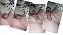Collage..., foto 4000x2250, 1 reacties, 3 stemmen