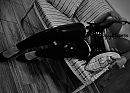 Covered in leather, foto 3305x2382, 11 reacties, 41 stemmen