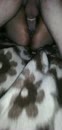 Cuckold sessie, film 00:00:00, 37 reacties, 179 stemmen