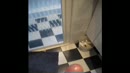 Cumpilatie, film 00:00:00, 10 reacties, 23 stemmen