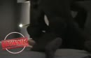 Dame dekken, film 00:00:00, 4 reacties, 24 stemmen