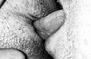 Dames gezocht …, foto 1179x769, 0 reacties, 2 stemmen