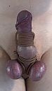 Dat was niet de goeie…., foto 1125x1967, 2 reacties, 5 stemmen