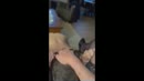 Deed alles goed...geile tong!!, film 00:00:19, 11 reacties, 74 stemmen