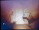 Deepthroat, film 00:00:20, 2 reacties, 6 stemmen