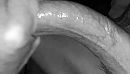 Deepthroatme _0_, foto 800x457, 0 reacties, 1 stemmen