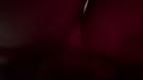 Der in en, film 00:00:16, 10 reacties, 48 stemmen