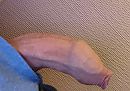 Dik maken, foto 3216x2266, 0 reacties, 4 stemmen