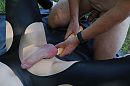 Dildo buiten., foto 4000x2666, 6 reacties, 16 stemmen