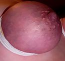 Dit moest gewoon even, foto 881x822, 19 reacties, 46 stemmen