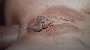 Dit, foto 3264x1837, 2 reacties, 17 stemmen