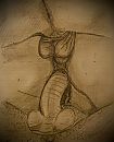 Droom 2, foto 2566x3149, 13 reacties, 41 stemmen