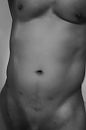 … .., foto 940x1410, 2 reacties, 4 stemmen